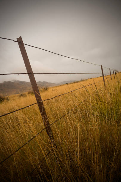 This is my Photographic Image of a Rural Fencing and Landscape in a Watercolour Effect. Because sometimes you might want a more illustrative image for an organic look.