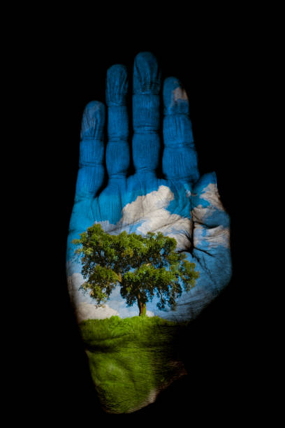 istock Hand with Nature Scene Painted On It, Black Background 108196450