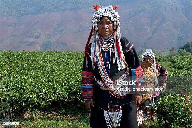 Akha Herbata Pickers - zdjęcia stockowe i więcej obrazów Akha - Akha, Azja Południowo-Wschodnia, Azjatycka kultura plemienna