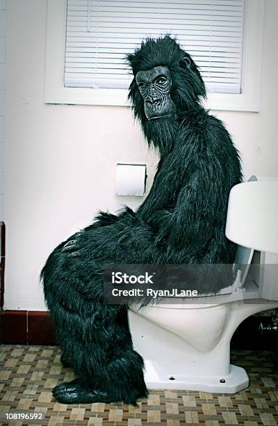 Photo libre de droit de Gorille Utiliser Les Toilettes De La Salle De Bains banque d'images et plus d'images libres de droit de Toilettes