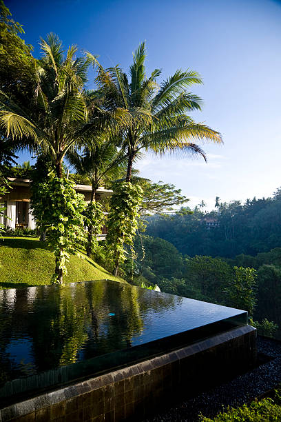 istock Infinity Swimming Pool Overlooking Bali Jungle Valley 108196659