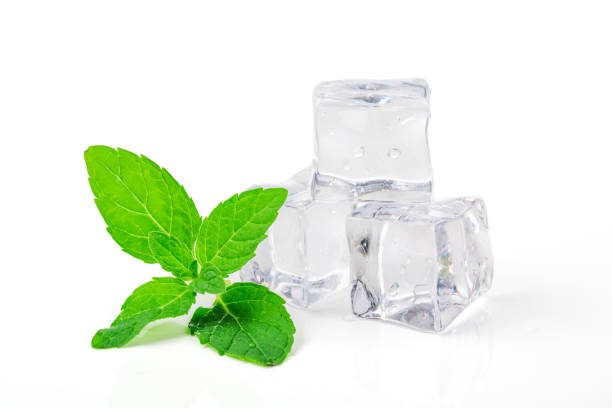 istock Ice cubes with mint leaves on white background 1081969228