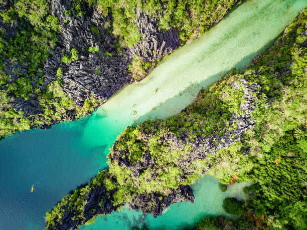 istock El Nido Big Lagoon Palawan Miniloc Island Philippines 1081969592