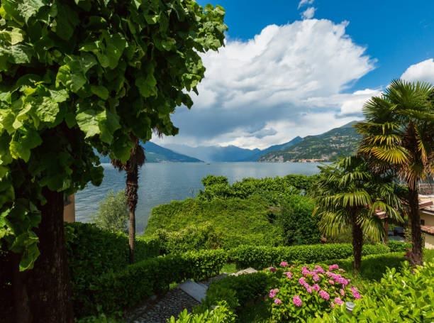 istock Lake Como summer view, Italy 1081972774