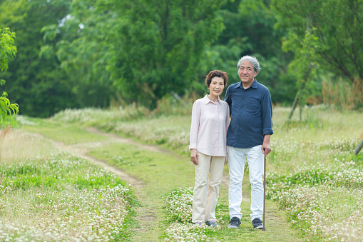 An old couple walking in the park
