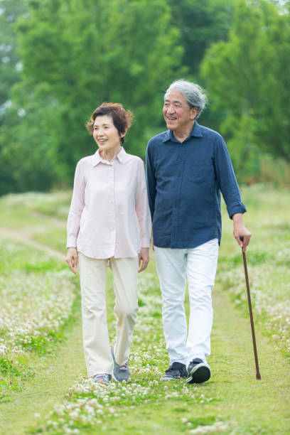 istock An old couple walking in the park 1081973854