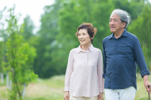 istock An old couple walking in the park 1081973860