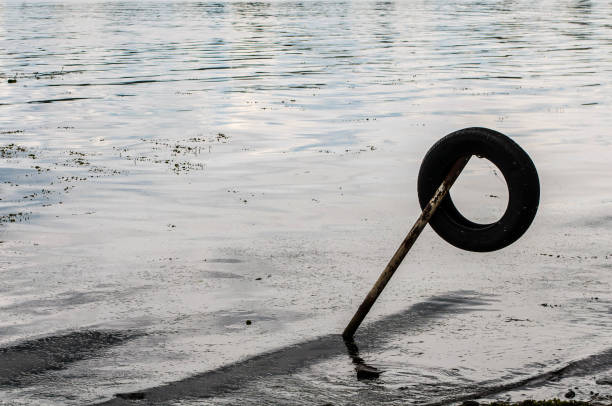 istock Car tire and sadness 1081977080