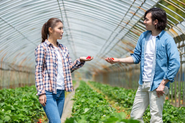 istock Strawberry picking Couple 1081977288
