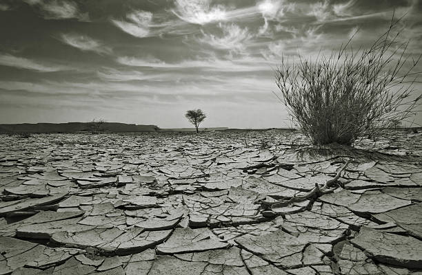 istock Arid Dry Desert Landscape, Black and White 108197913