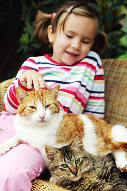 little girl with her cats