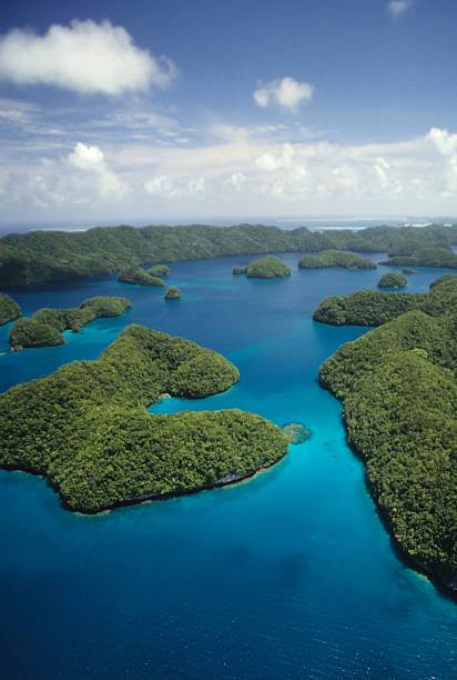 belle vue aérienne - micronesia lagoon palau aerial view photos et images de collection