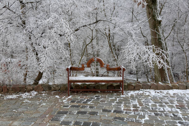 istock Wooden bench in the snow 1081983044