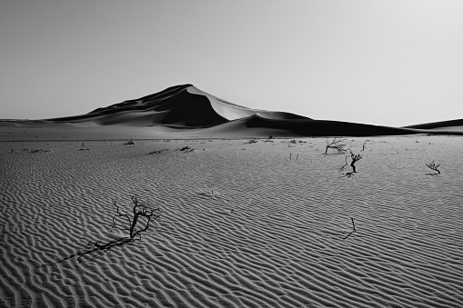 Dunes , Silhouette of people