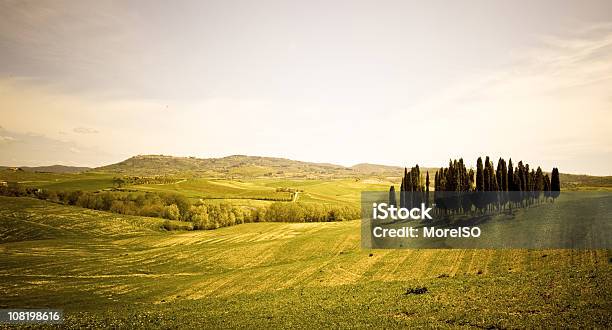 환경에 Tuscany 이탈리아 0명에 대한 스톡 사진 및 기타 이미지 - 0명, 가로수, 경작지