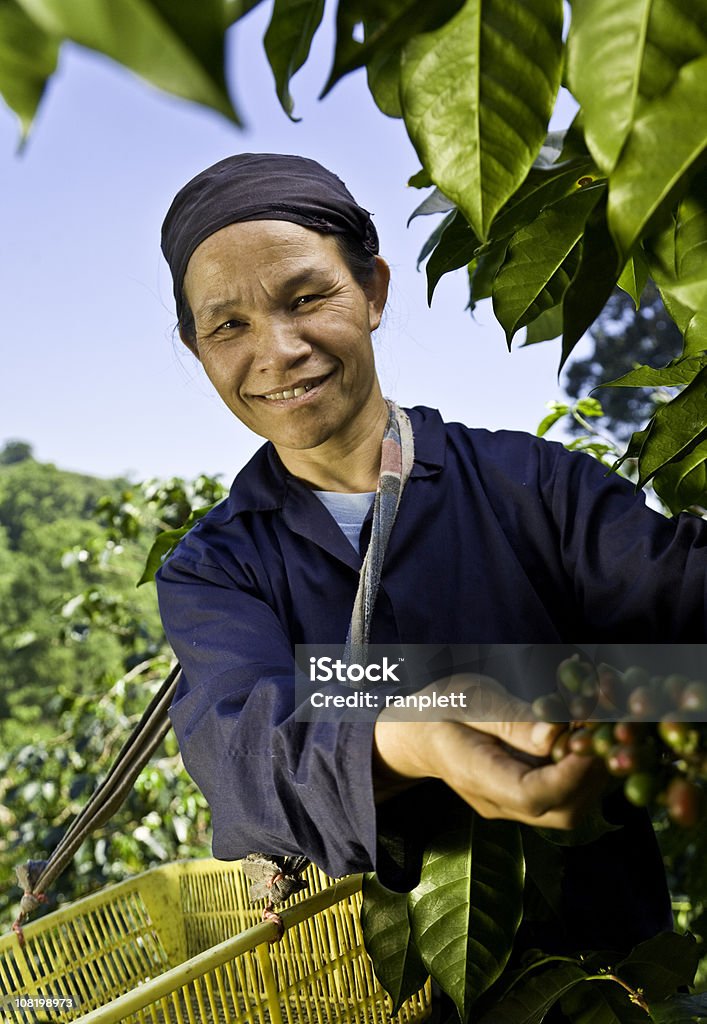Comercio justo café agricultor - Foto de stock de Agricultor libre de derechos