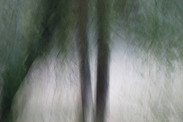 Motion blue tree motif backgrounds in blue