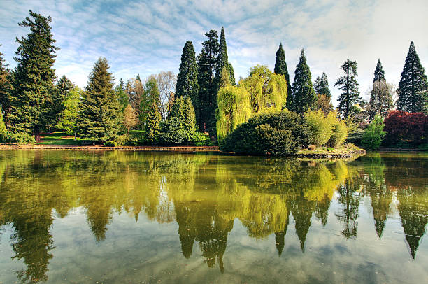 Russia, Mangup-Kale. Airy weeping willows on the shore of an artificial lake at the foot of the famous ancient city.