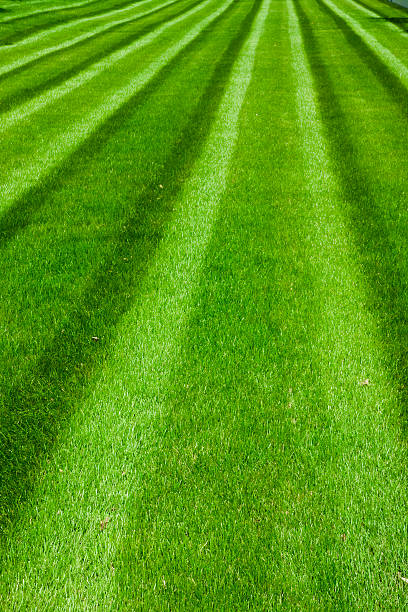 verde campo de futebol - baseballs baseball baseball diamond grass - fotografias e filmes do acervo