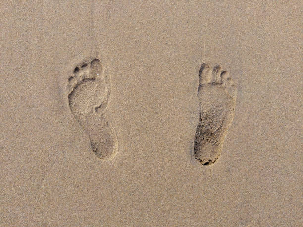 istock Footprint in the Sand 1081996096