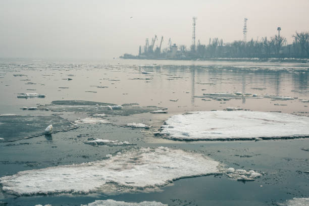 lodowe floes unoszą się w spokojnym morzu azowskim na tle portu taganrog wczesną zimą - ice float zdjęcia i obrazy z banku zdjęć