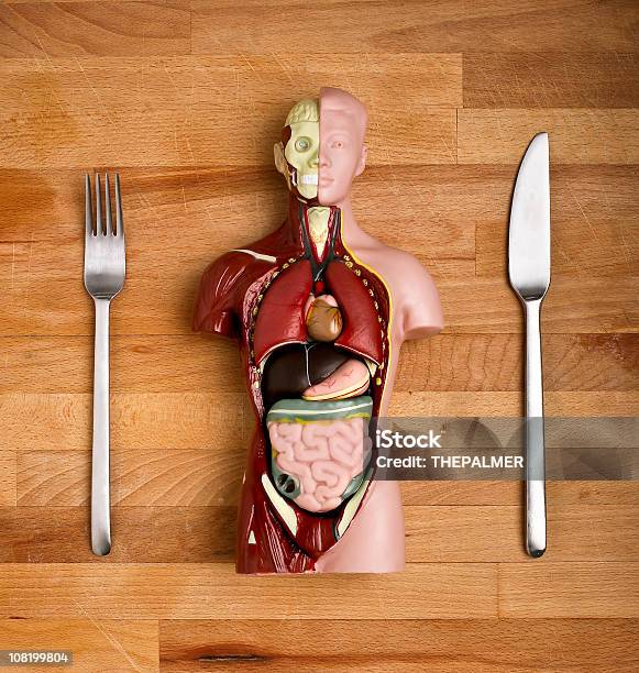 Cannibalism Stock Photo - Download Image Now - Anatomy, Model - Object, Table