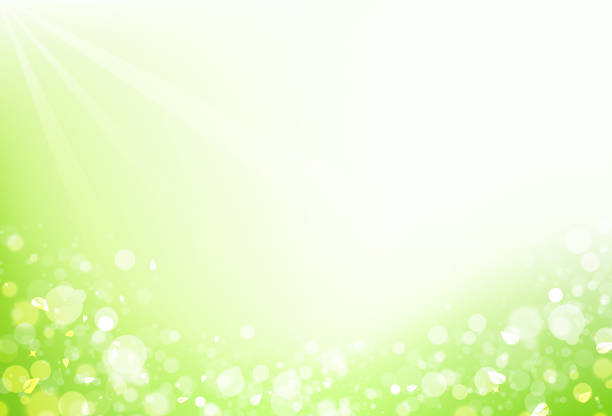 istock Nature, leaf scatter with blur fresh bubble air and star shine sparkle Bokeh concept abstract background vector illustration 1081998092