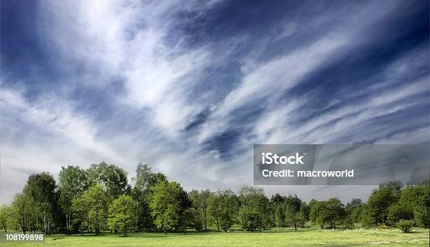 Foto de Paisagem e mais fotos de stock de Árvore - Árvore, Panorâmica, Azul