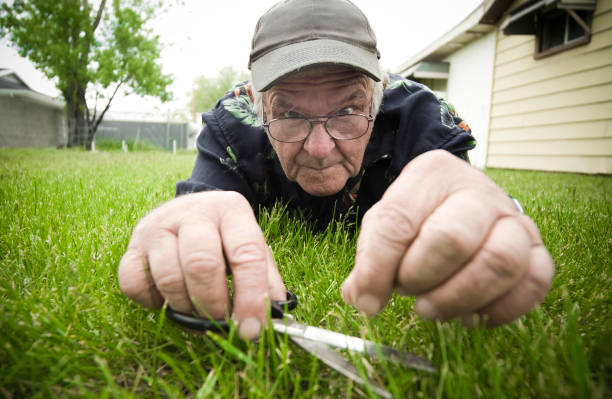 mann schneiden gras mit schere - lawn mowing gardening obsessive stock-fotos und bilder