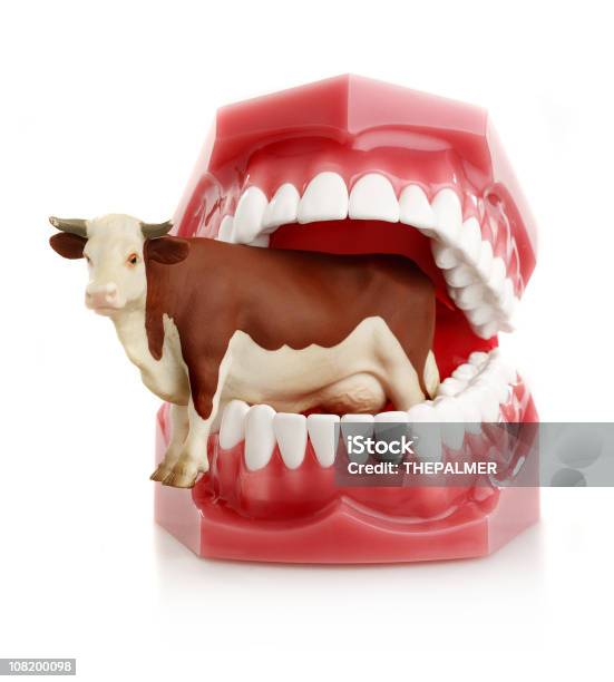 肉好きの歯 - おもちゃのストックフォトや画像を多数ご用意 - おもちゃ, 家畜牛, 牝牛