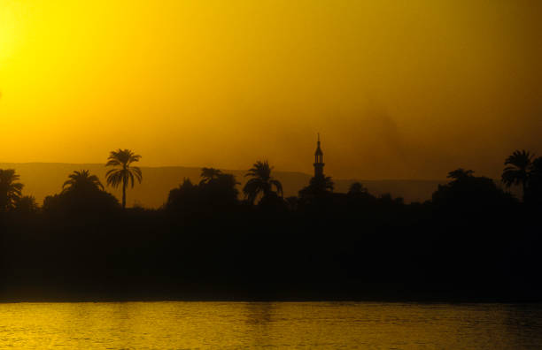 Sailing along the banks of the Nile reveals a vibrant vista of lush greenery, palm trees, and cultural richness, offering glimpses into Egypt's diverse lifeforms and natural beauty. Photo taken with Medium Format camera and MF lens. Very detailed.
