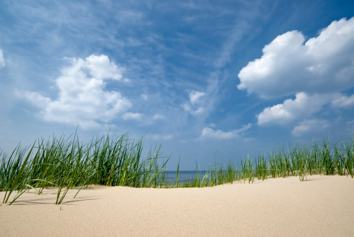 Germany, sandy beach with beach oats.