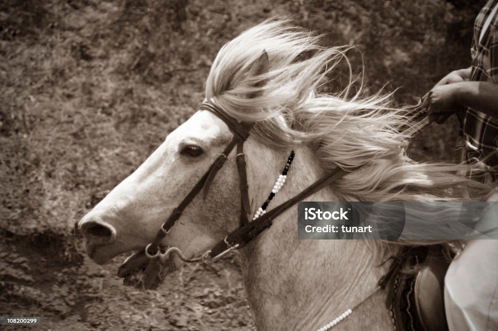 Horse Racing, Babadag, Denizli, Turkey  Sepia Toned Stock Photo