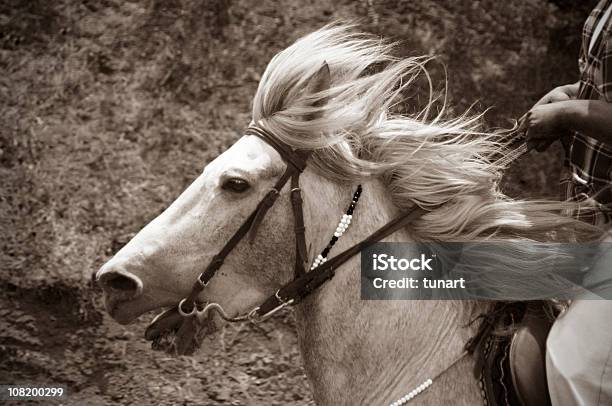 Horse Racing Babadag Denizli Turkey Stock Photo - Download Image Now - Sepia Toned, White Horse, Adult