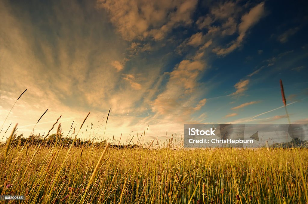 Tramonto su un campo estivo - Foto stock royalty-free di Ambientazione esterna