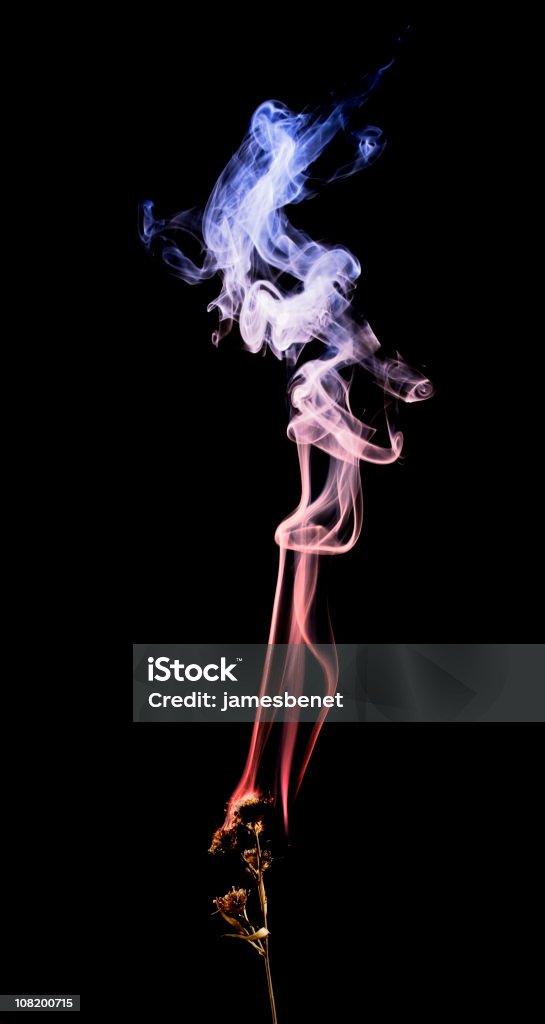 Palenie gałąź kolorowy dym z czarnym tle - Zbiór zdjęć royalty-free (Dym)