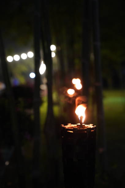 istock close up torch and fire in the night garden. 1082009218