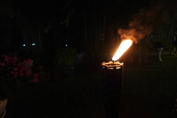 istock close up torch and fire in the night garden. 1082009234
