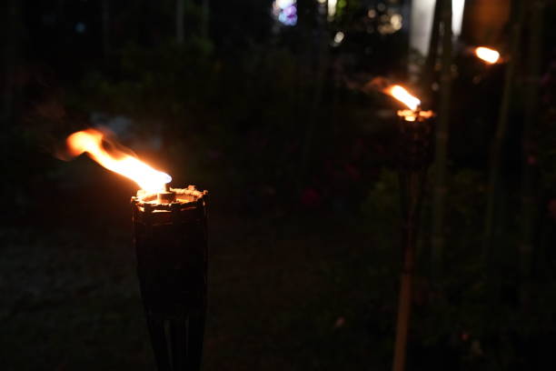 istock close up torch and fire in the night garden. 1082009504