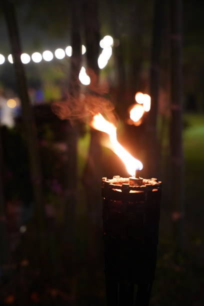 istock close up torch and fire in the night garden. 1082009508