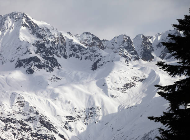 istock Snowy sunlight mountain with overcast gray sky and conifer tree silhouette 1082011486