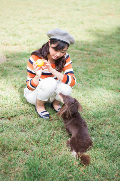 istock A woman playing with a dog 1082012434