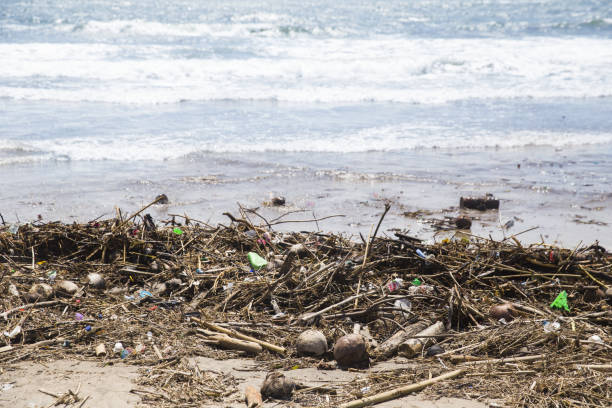 istock Spilled garbage on the beach closed to ocean. Environmental pollution. 1082012606