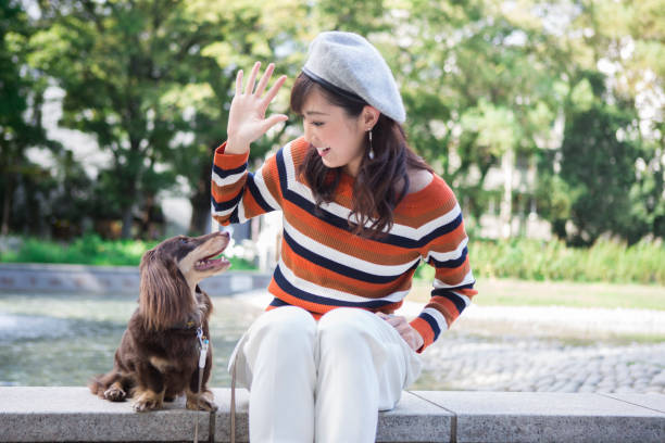 istock A woman walking in the park with a pet 1082012688