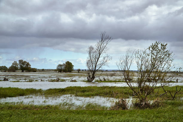 istock Backwaters at the mouth of the River Warta 1082014112