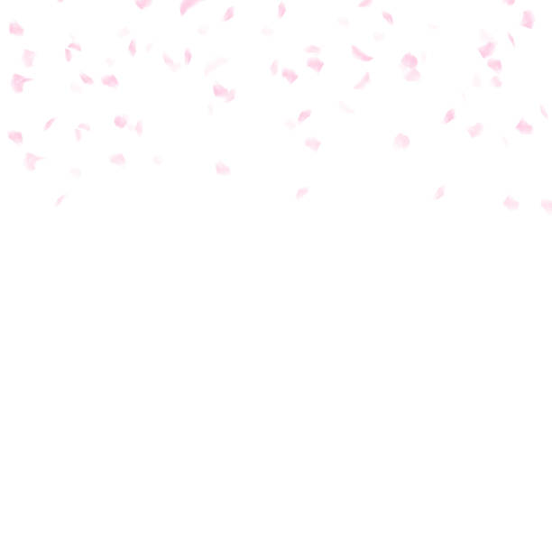 ilustrações, clipart, desenhos animados e ícones de dispersão de sakura pétalas caindo, aquarela tinta textura artística abstrato ilustração vetorial - paintings valentines day love square