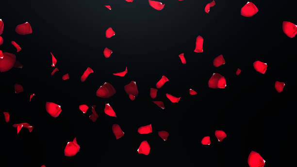 istock 3D render Flying petals of roses with on an black background 1082014538