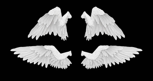 istock 3D render White angel wings with on an black background 1082015178