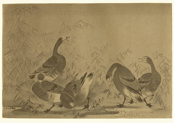 istock Art of Japan, Geese in the Reeds 1082015880