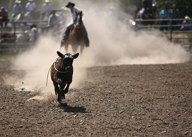 istock Cowgirl Break Away  Roper 108201734